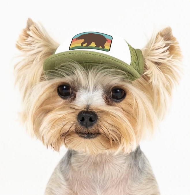 Puplid Trucker Hat