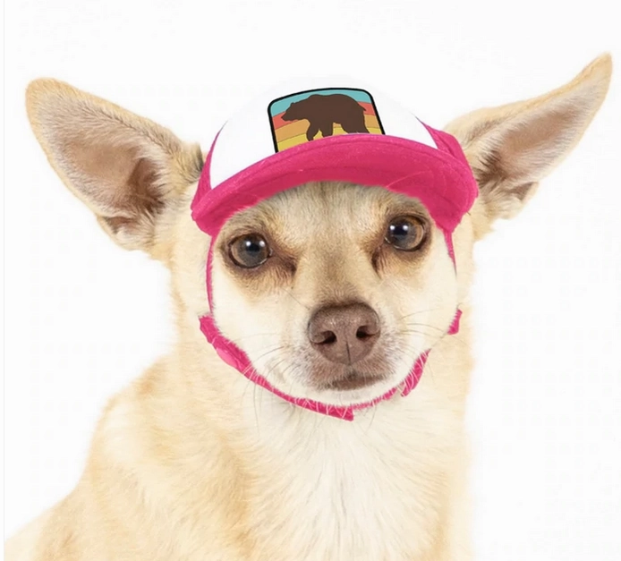 Puplid Trucker Hat