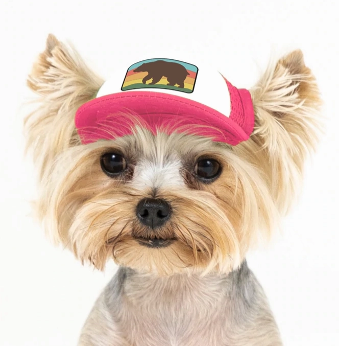 Puplid Trucker Hat