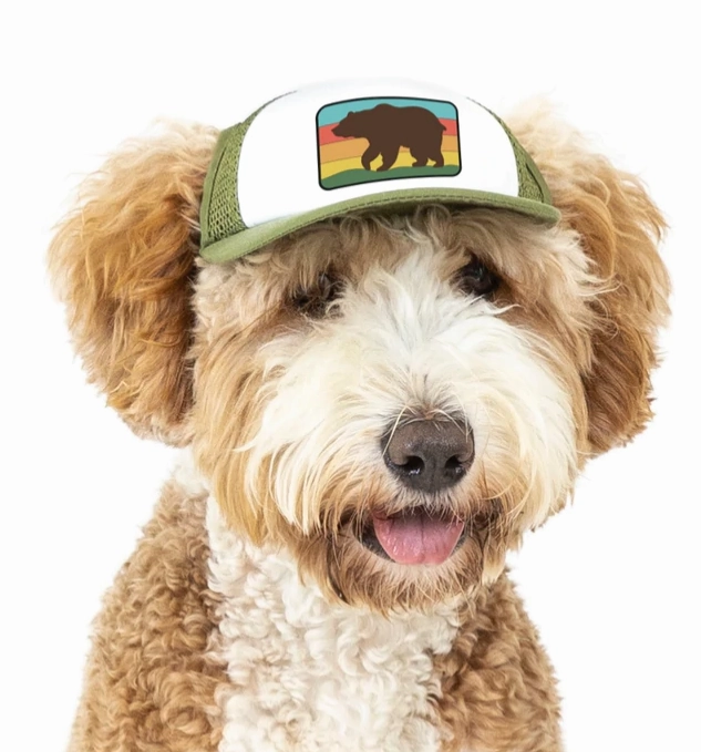Puplid Trucker Hat