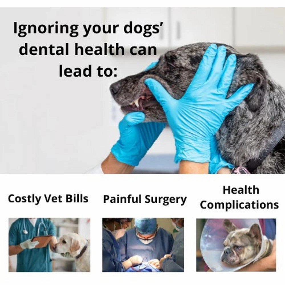 Puppy Polish Filet Mignon (Steak) Dog Toothpaste