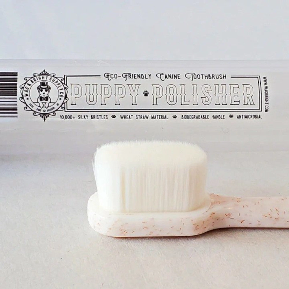 Puppy Polisher Biodegradable Regular Toothbrush for Dogs