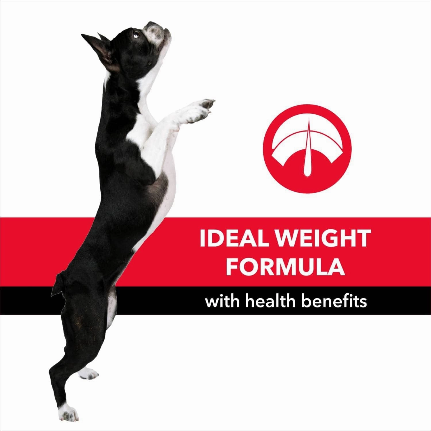 Purepet Meat and Rice Adult Dog Dry Food