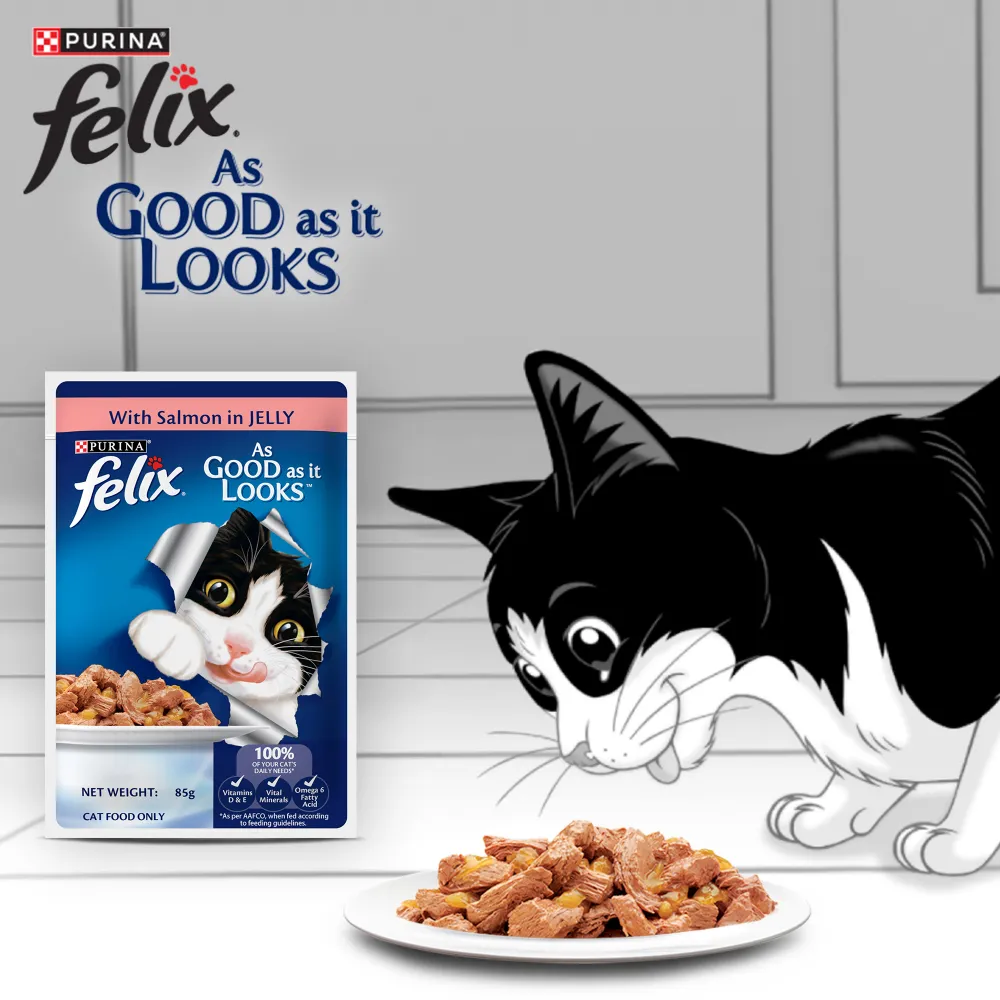 Purina Felix Salmon Jelly Adult Wet Food, Me O Creamy Chicken Liver Treats Cats Combo
