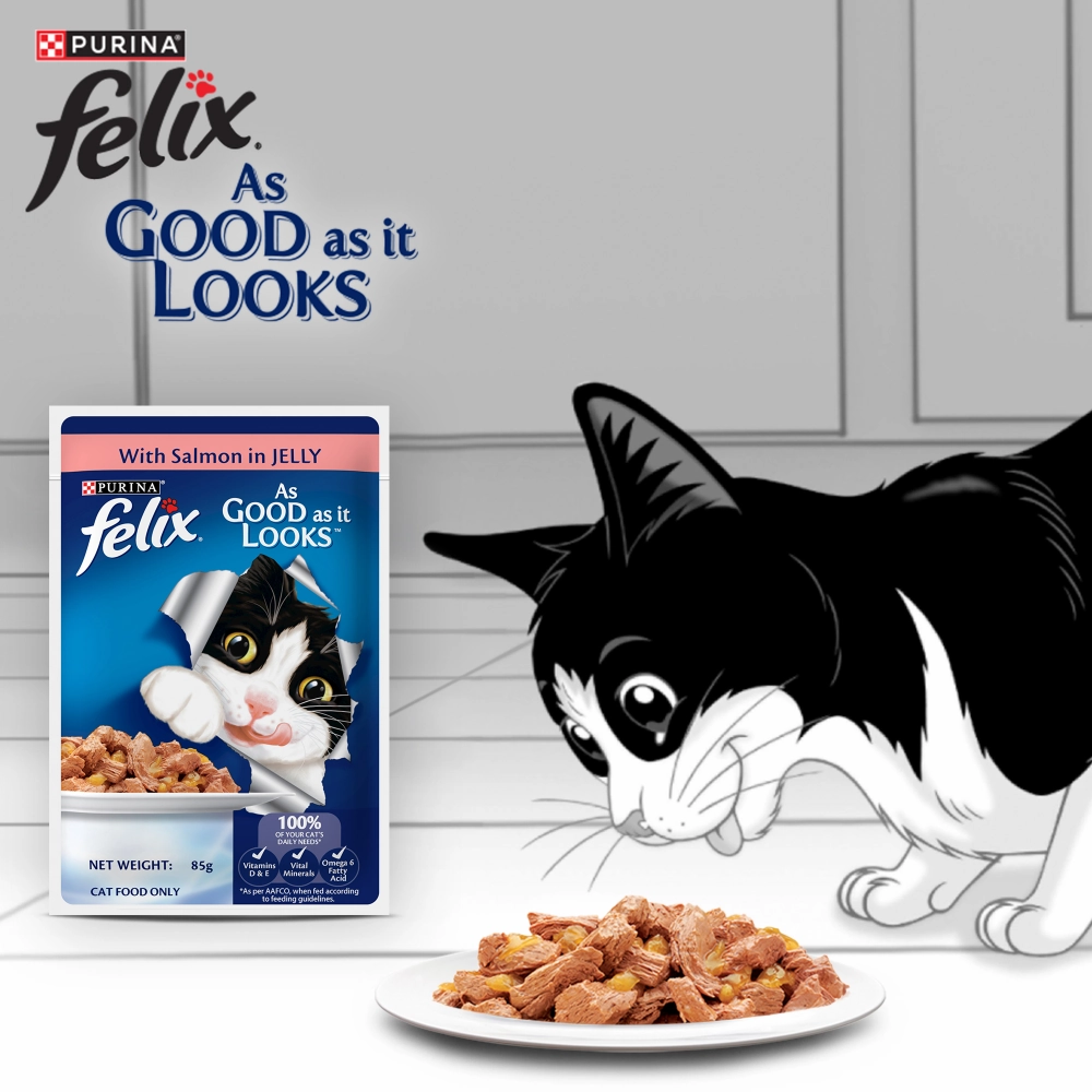 Purina Felix Mackerel, Sardine and Salmon with Jelly Complete and Balanced Adult Cat Wet Food Combo