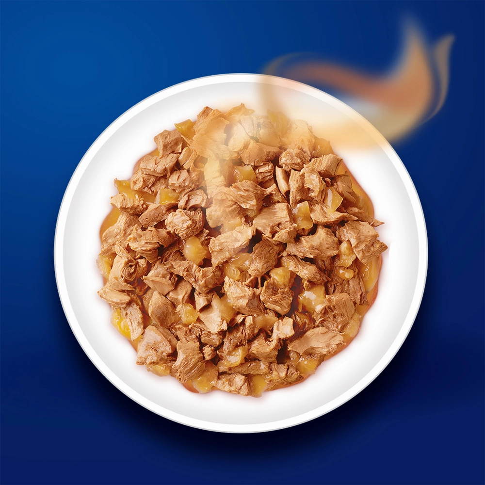 Purina Felix Tuna and Chicken with Jelly Kitten Cat Wet Food Combo