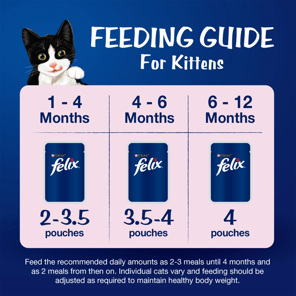 Purina Felix Tuna with Jelly Complete and Balanced Kitten Wet Food