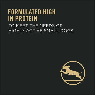 Purina Pro Plan Focus Adult Small Breed Formula Dry Dog Food