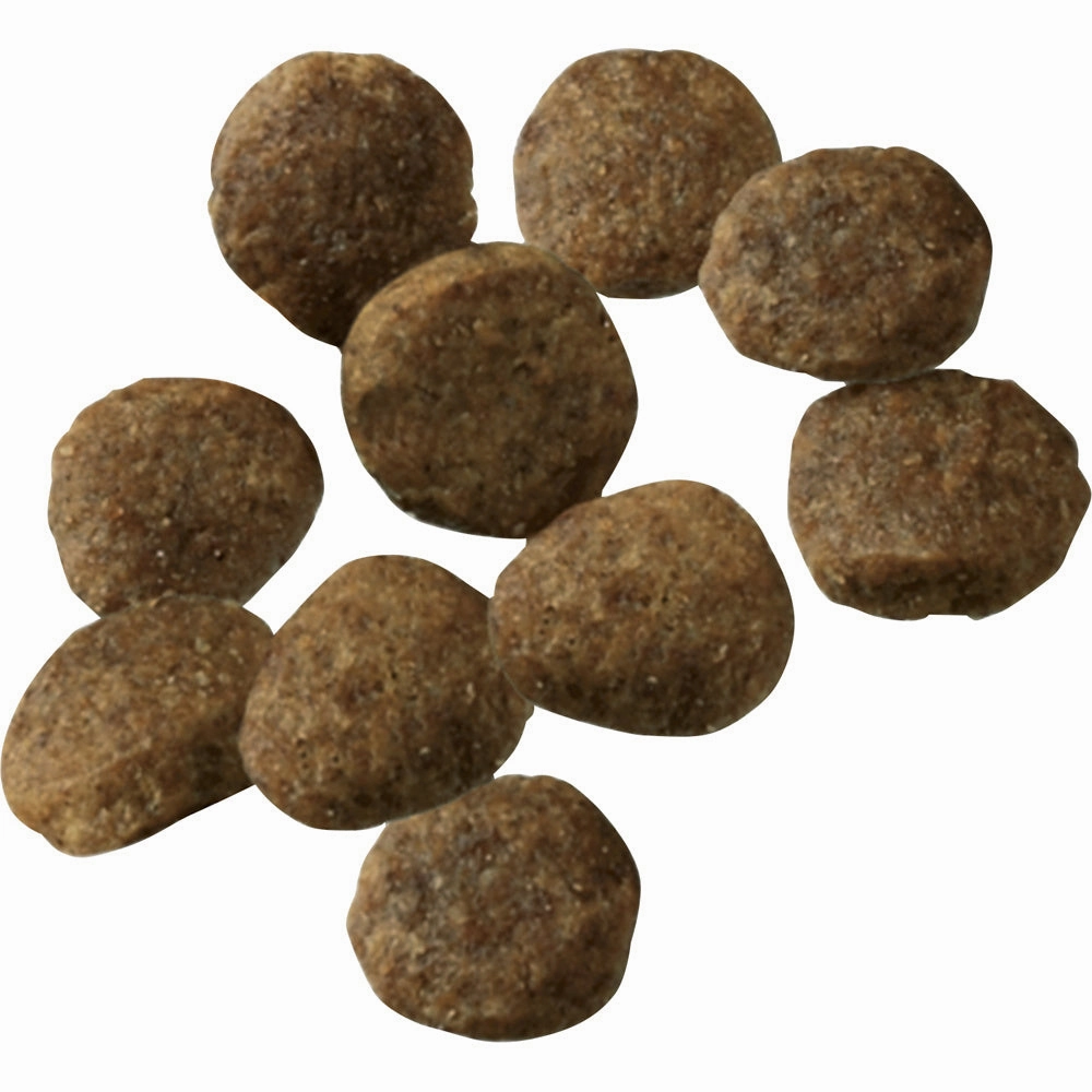 Purina Pro Plan Probiotic Sensitive Stomach Sensitive Skin & Stomach Salmon & Rice Formula Dry Puppy Food