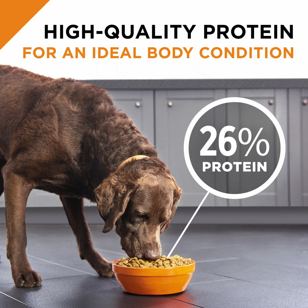 Purina Pro Plan Savor Shredded Blend Beef & Rice Formula Adult Dry Dog Food