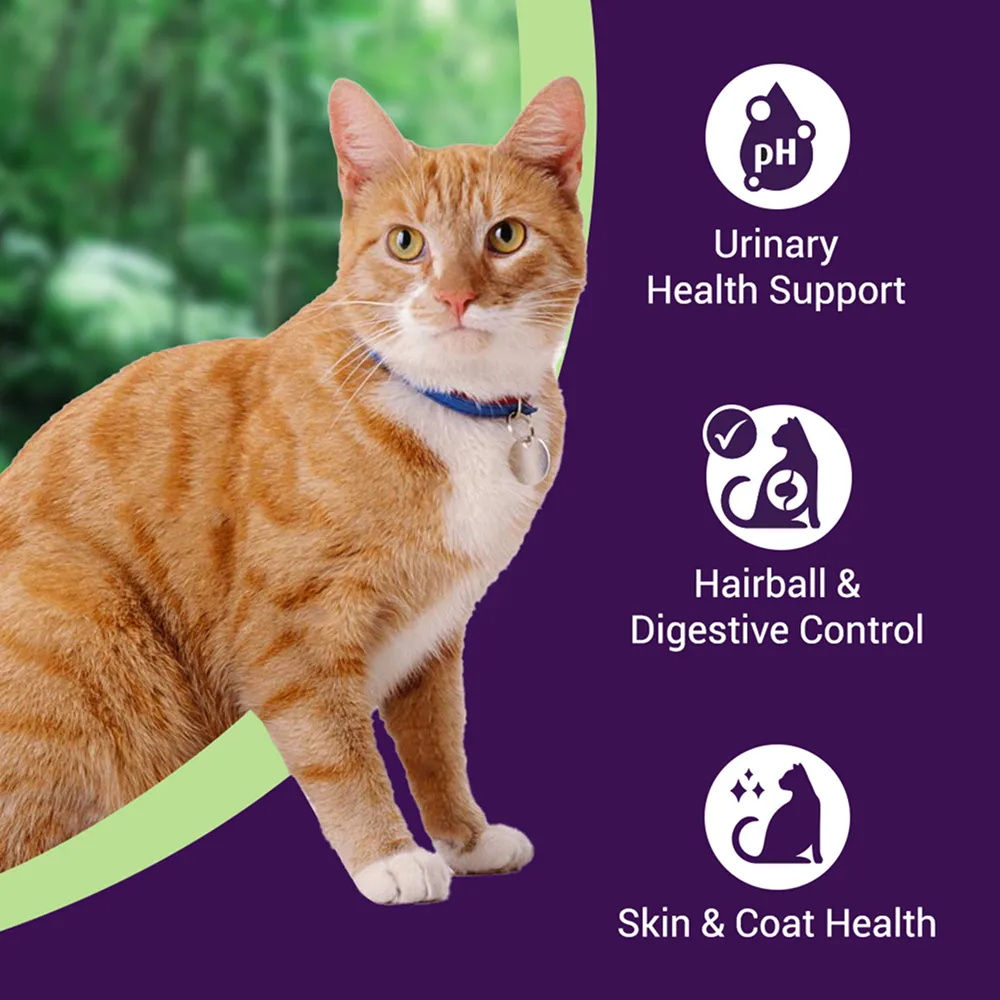 Purrfeto Chicken and Sardine Adult Cat Dry Food