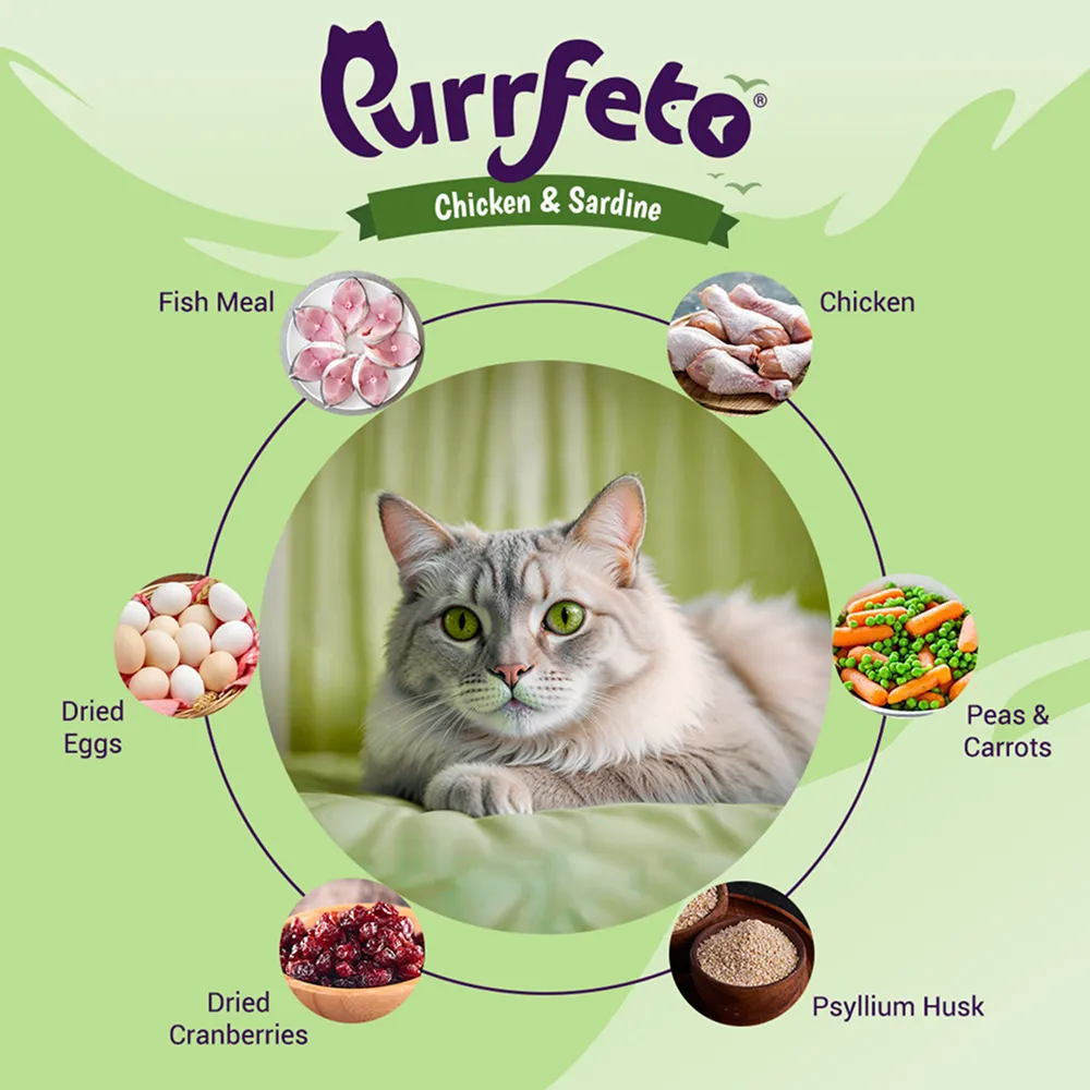 Purrfeto Chicken and Sardine Adult Cat Dry Food