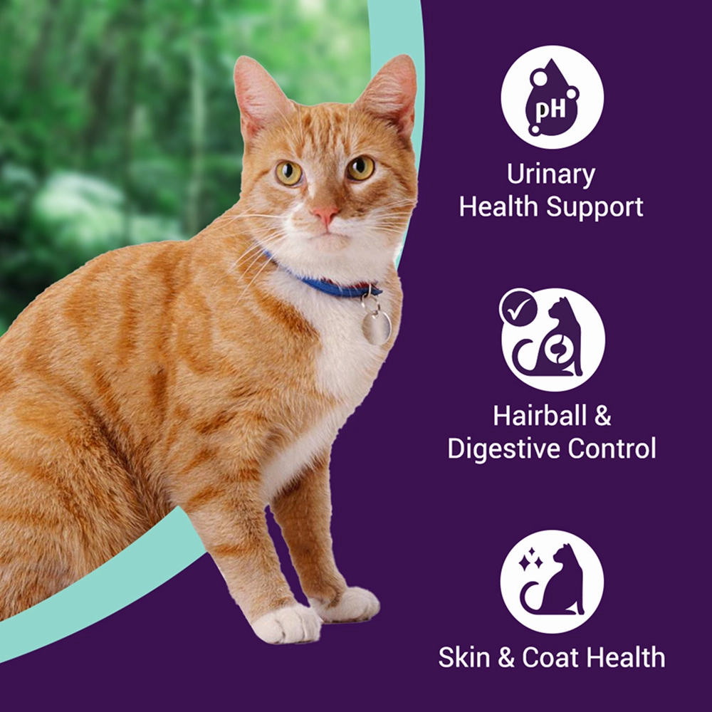 Purrfeto Chicken and Ocean Fish Cat Dry Food