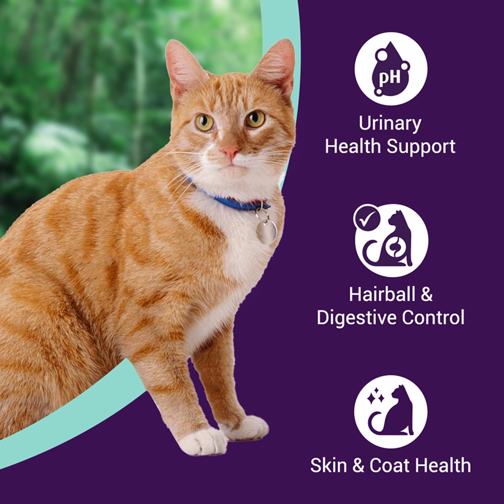 Purrfeto Chicken and Ocean Fish Cat Dry Food