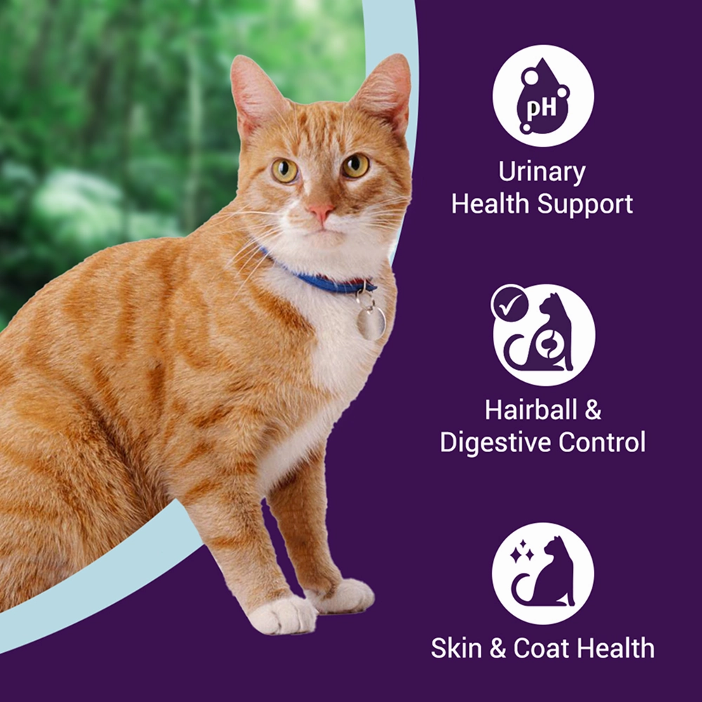 Purrfeto Chicken and Rice Adult Cat Dry Food