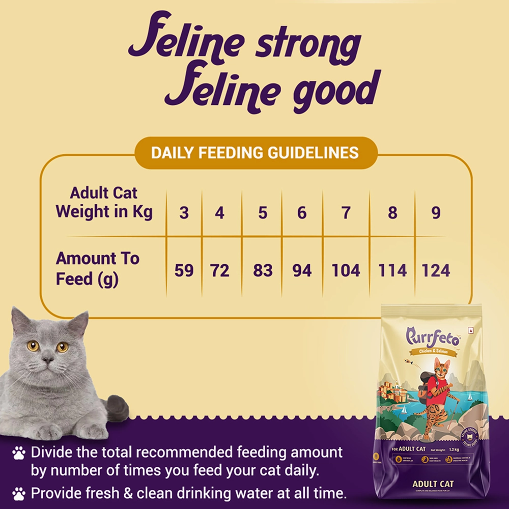 Purrfeto Chicken and Salmon Adult Cat Dry Food