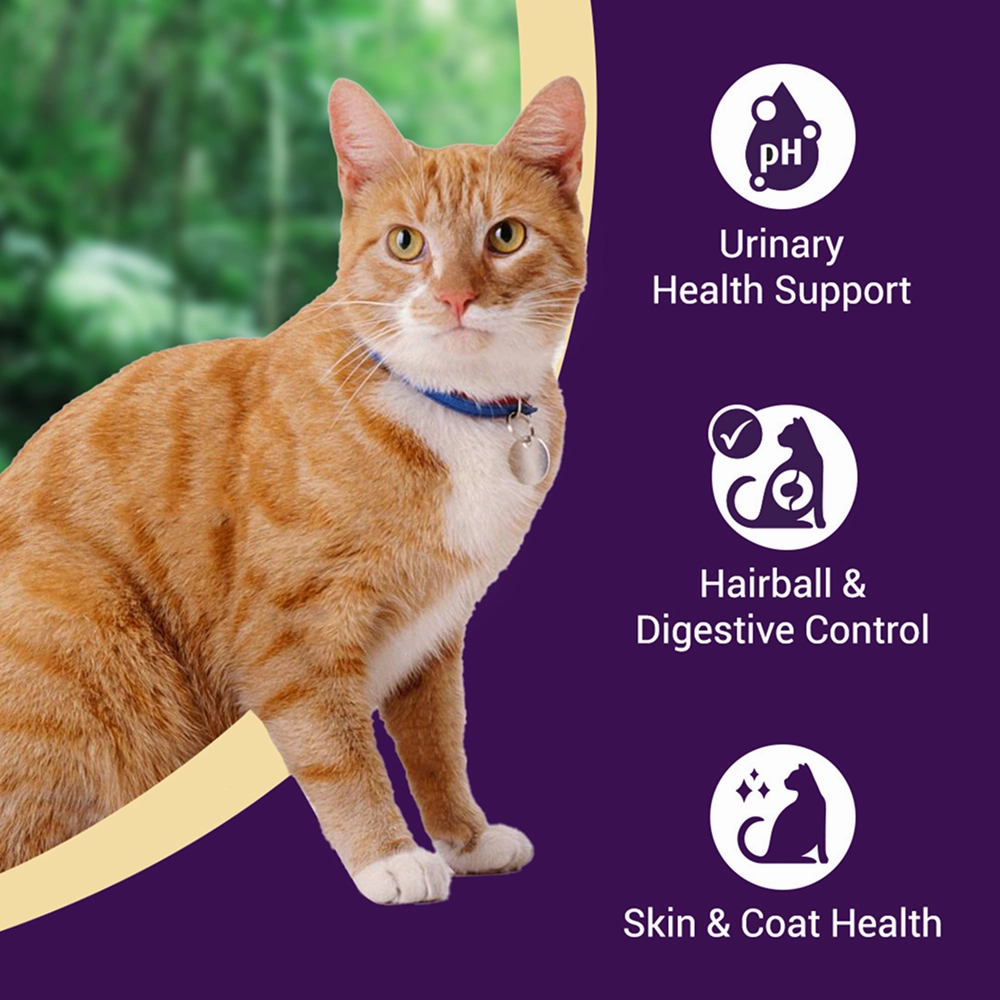 Purrfeto Chicken and Salmon Adult Cat Dry Food