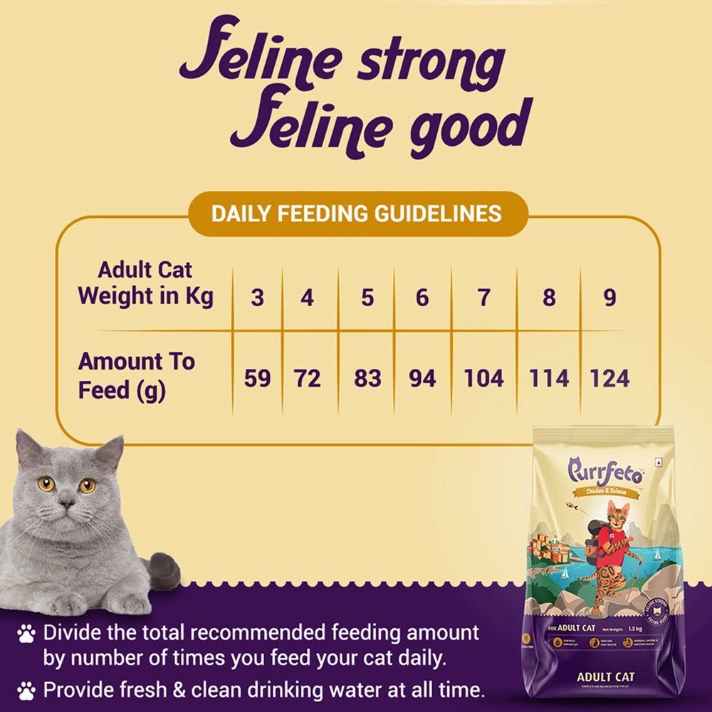 Purrfeto Chicken and Salmon Adult Cat Dry Food