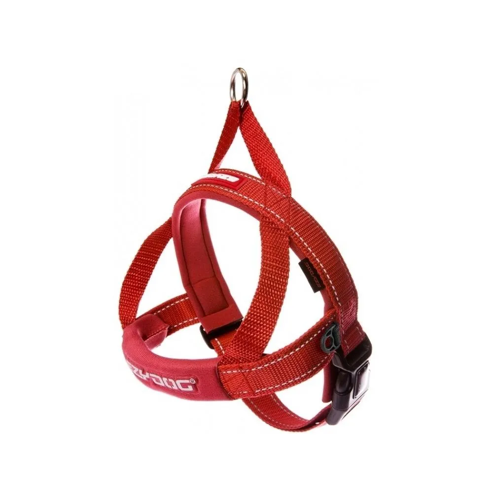 Quick Fit Dog Harness