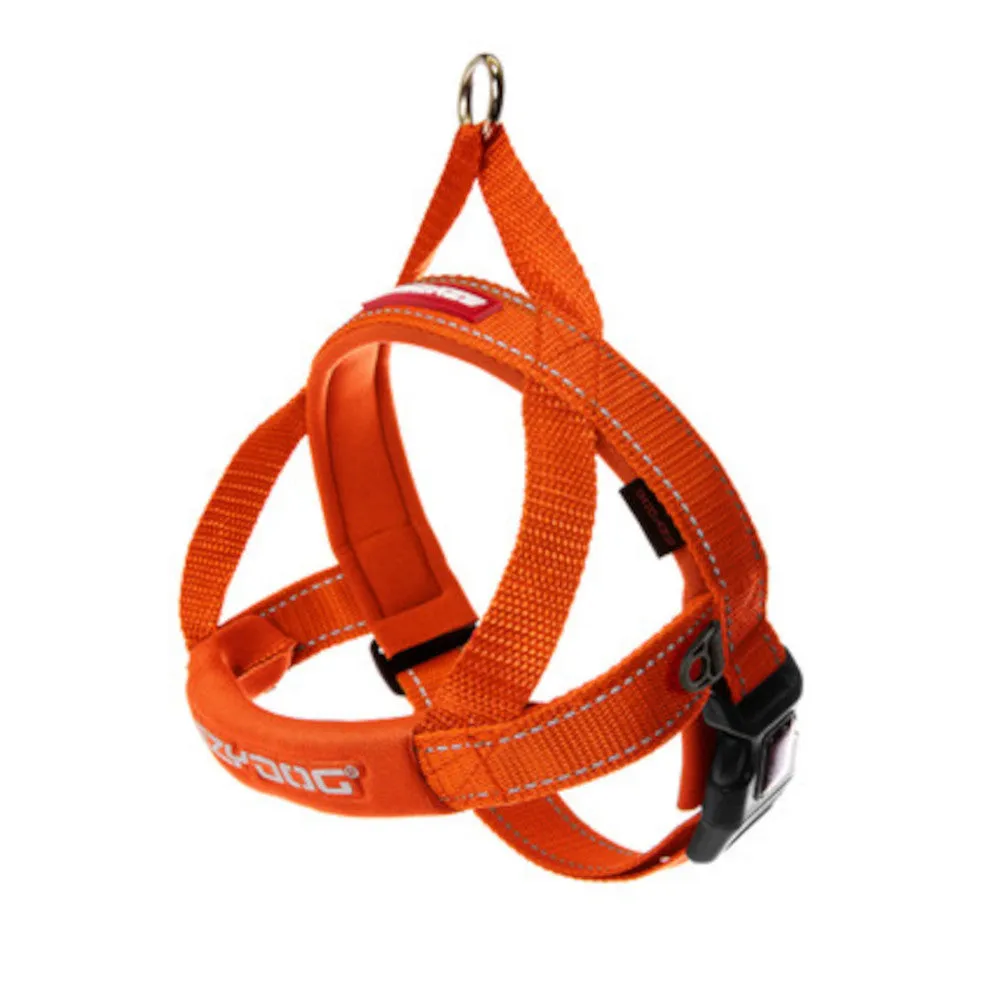 Quick Fit Dog Harness