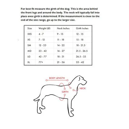 Quick Fit Dog Harness