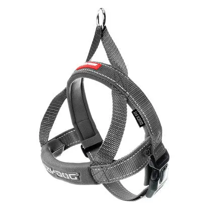 Quick Fit Dog Harness