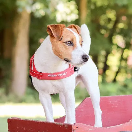 Quick Fit Dog Harness
