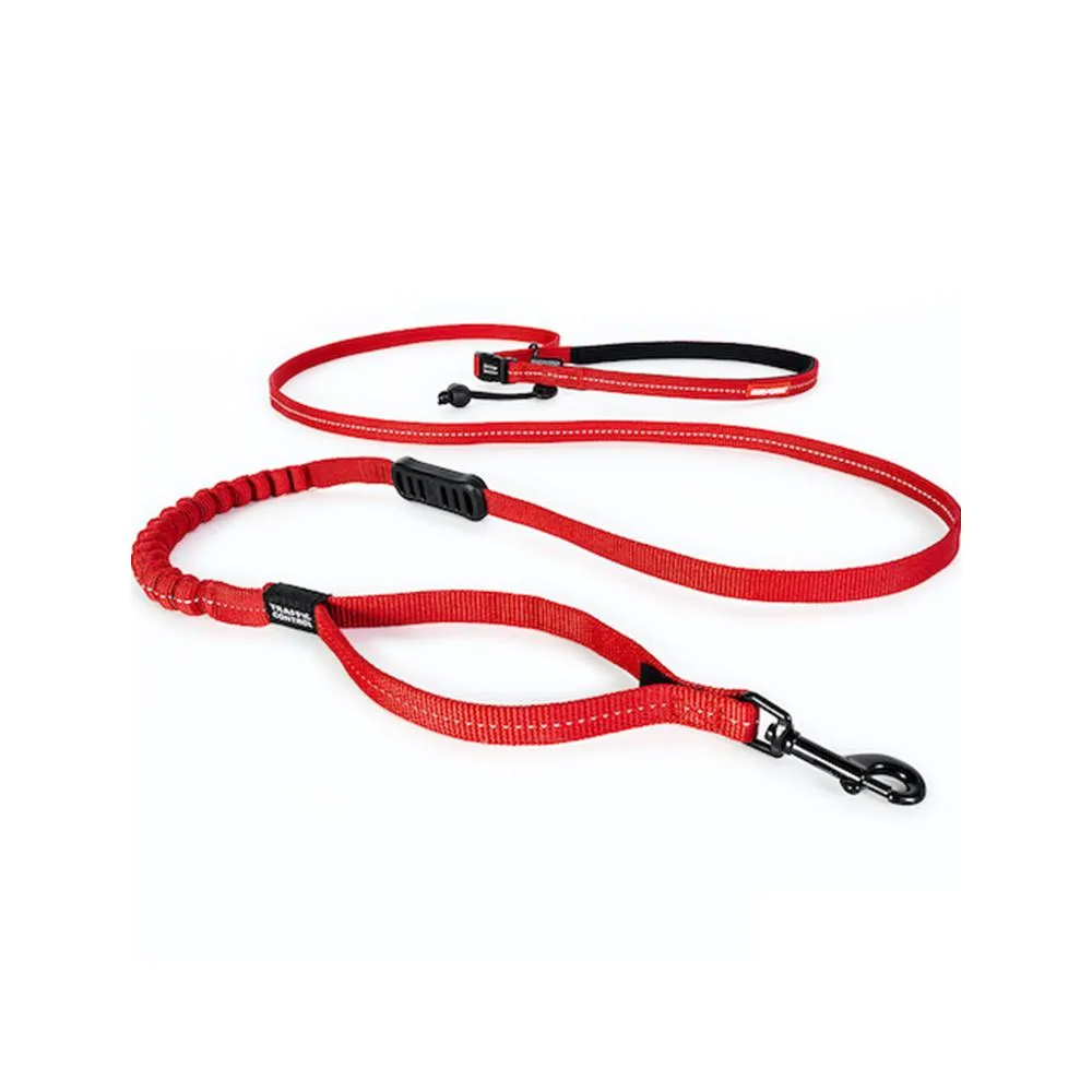 Road Runner Dog Leash Lite