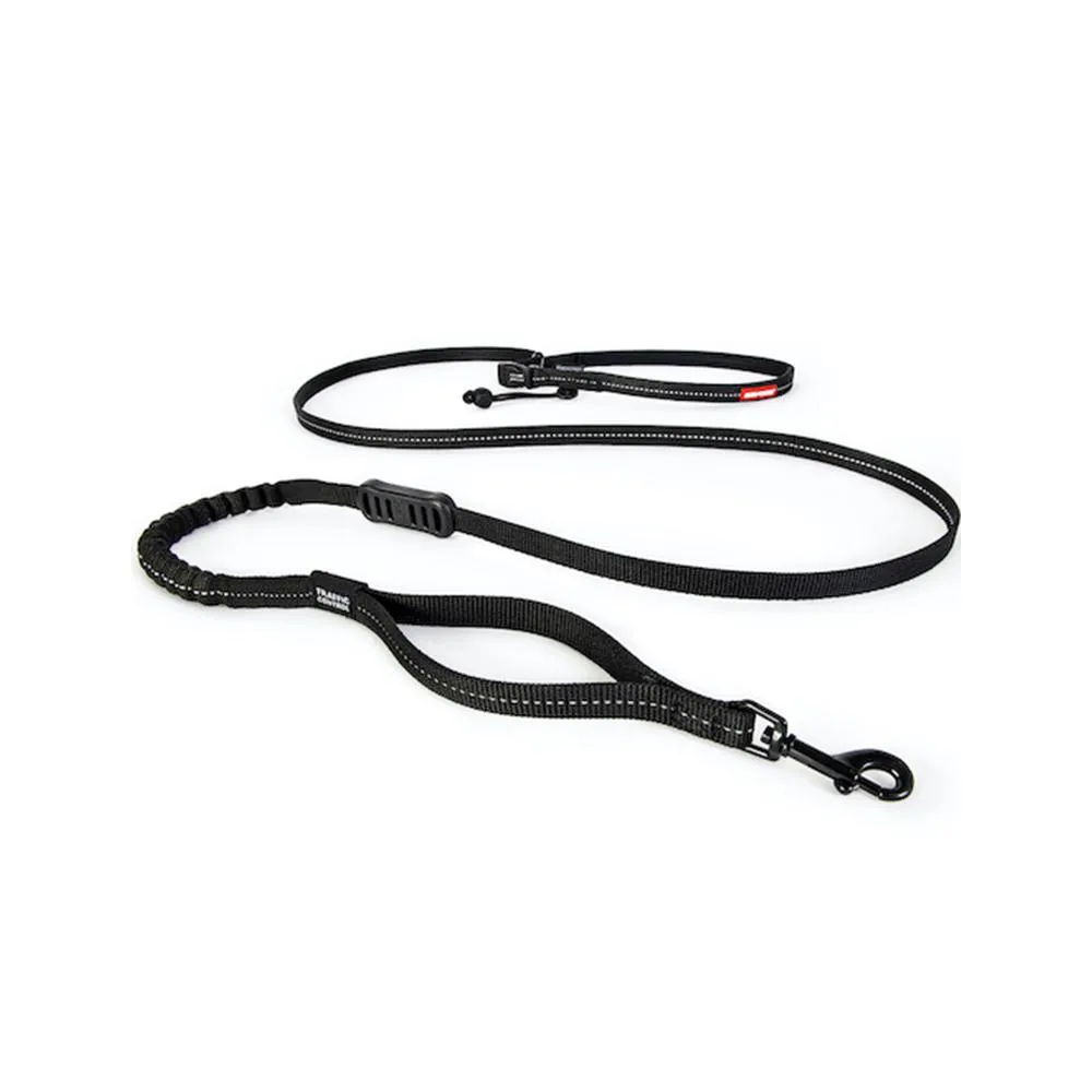 Road Runner Dog Leash Lite