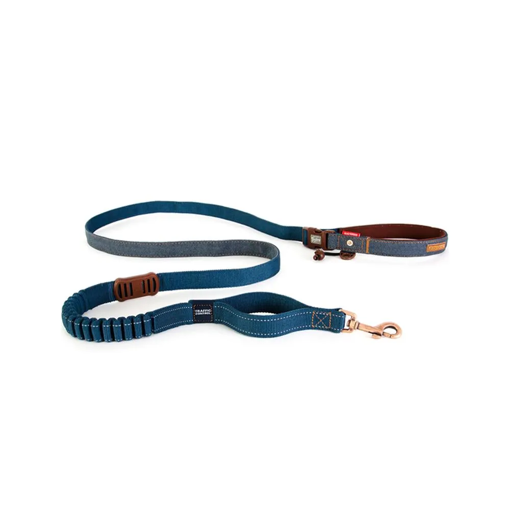 Road Runner Dog Leash