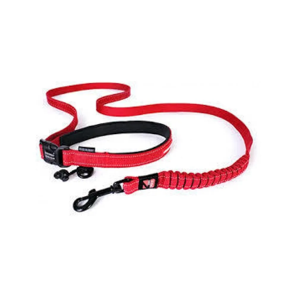 Road Runner Dog Leash