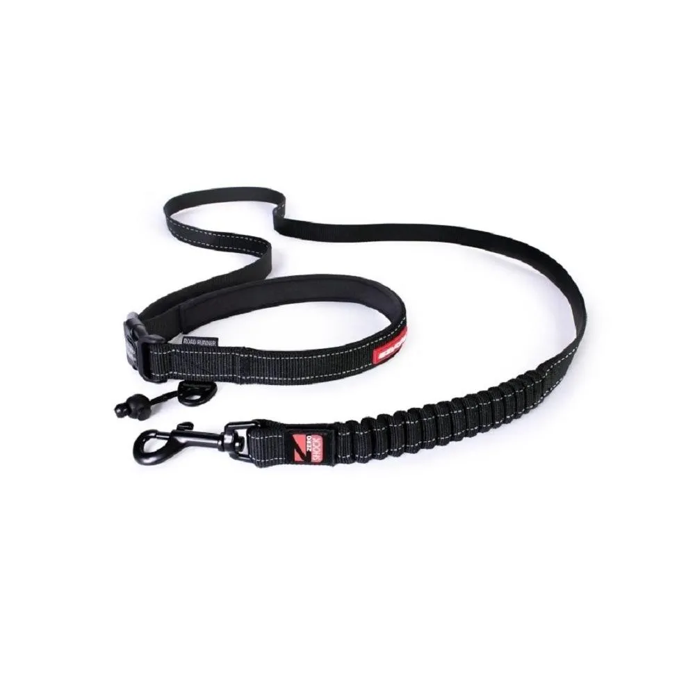 Road Runner Dog Leash