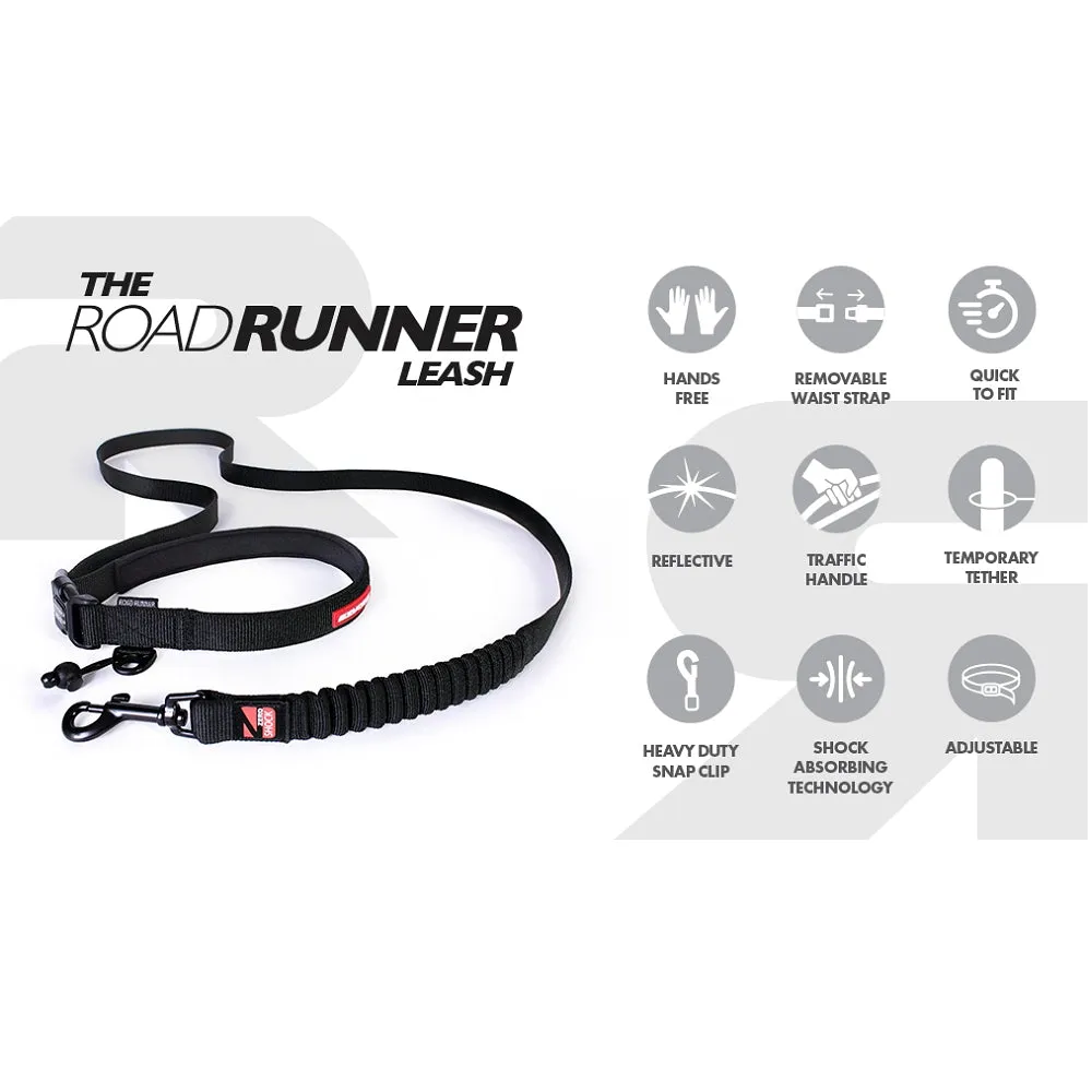 Road Runner Dog Leash