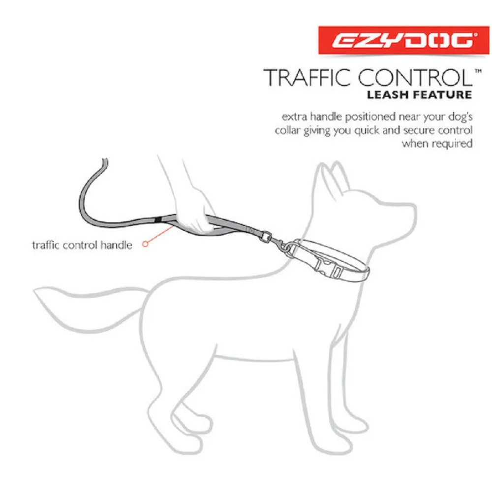 Road Runner Dog Leash