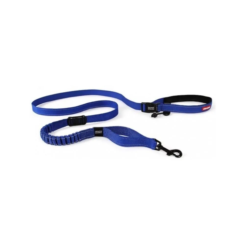Road Runner Dog Leash