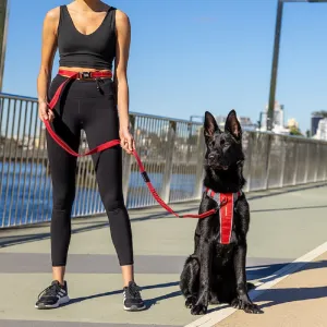 Road Runner Dog Leash