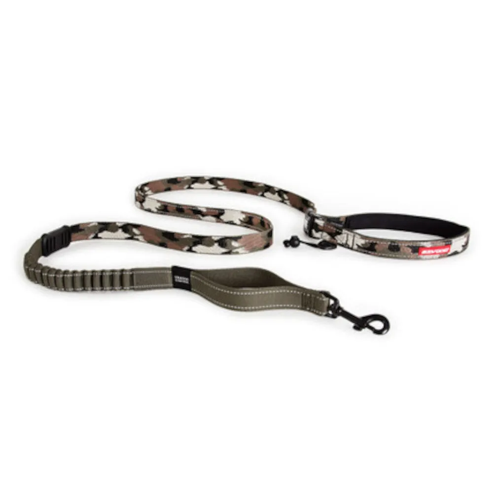 Road Runner Dog Leash