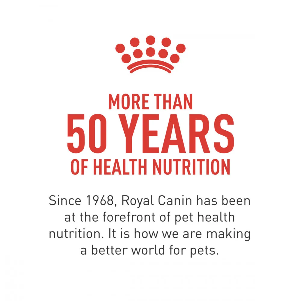 Royal Canin Indoor Intense Hairball  Dry Cat Food