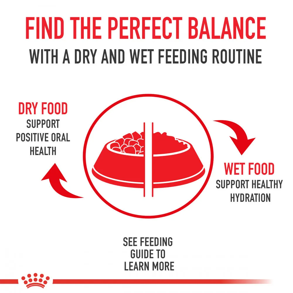 Royal Canin Indoor Intense Hairball  Dry Cat Food