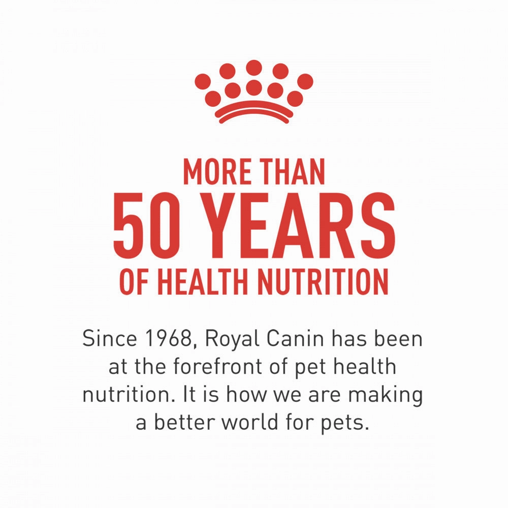Royal Canin Breed Health Nutrition Bulldog Adult Dry Dog Food