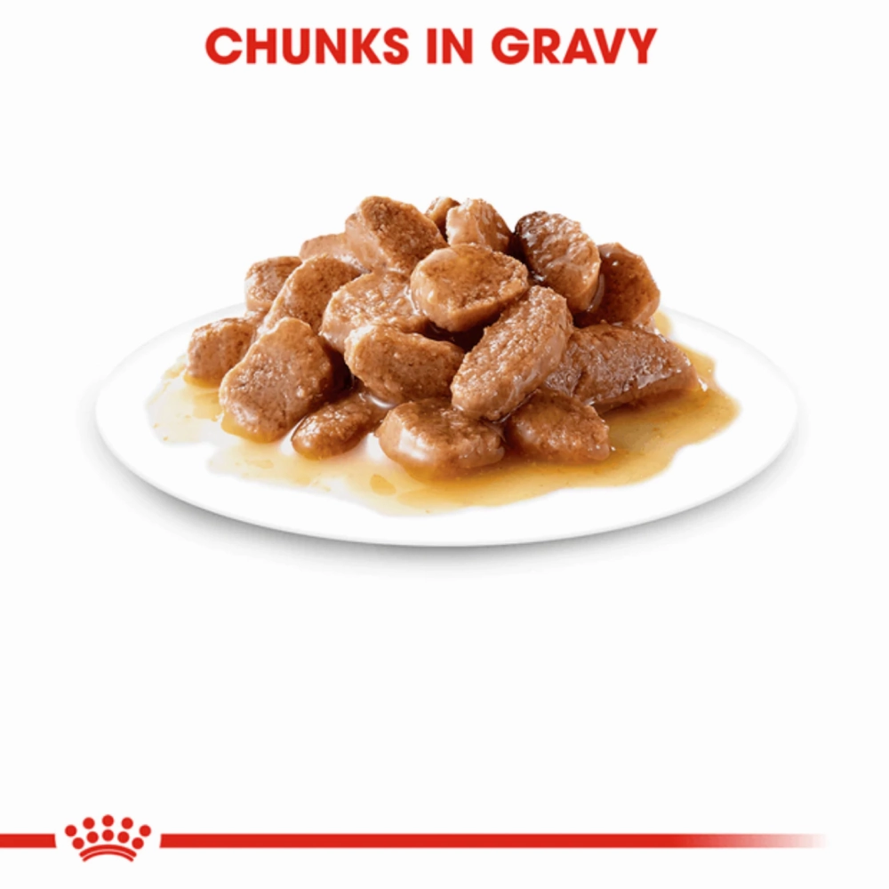 Royal Canin Fit 32 Dry Food and Instinctive Adult Gravy Cat Wet Food Combo