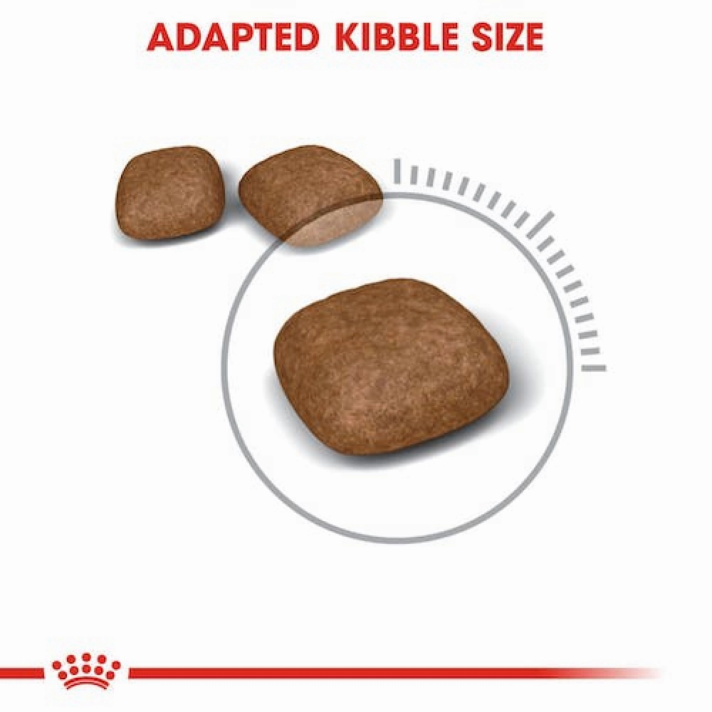 Royal Canin Hair & Skin Care Dry Food and Urinary Care Adult Cat Dry Food Combo