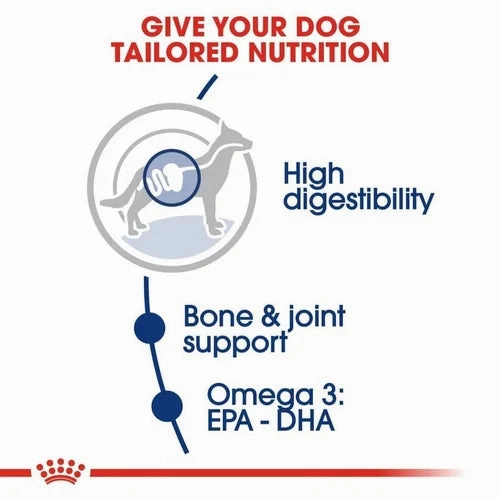 Royal Canin Maxi Adult Dog Dry Food