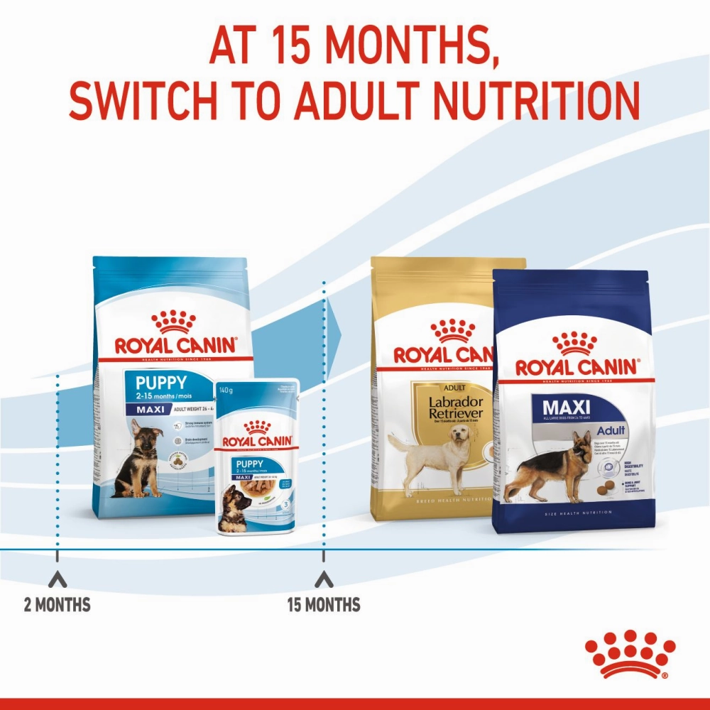 Royal Canin Maxi Puppy Dog Dry and Wet Food Combo