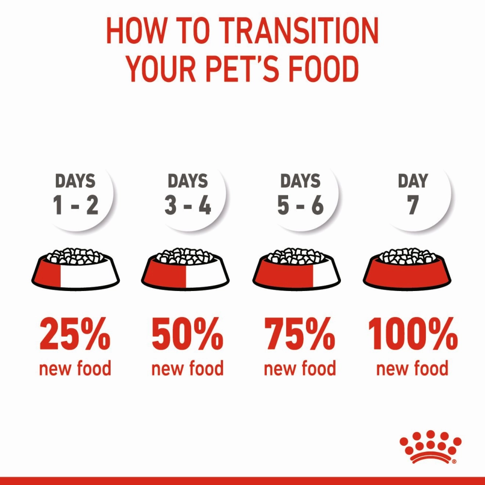 Royal Canin Medium Puppy Dog Dry and Wet Food Combo