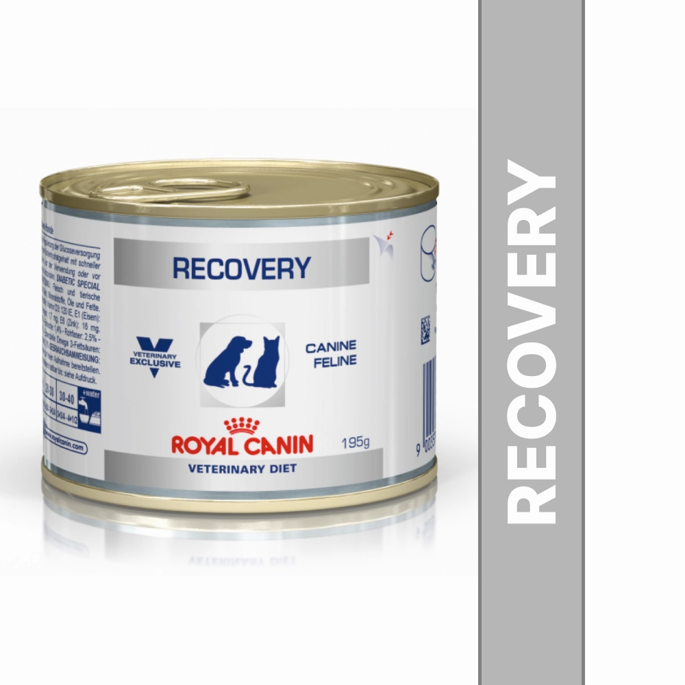 Royal Canin Recovery Canned Adult Pet Wet Food