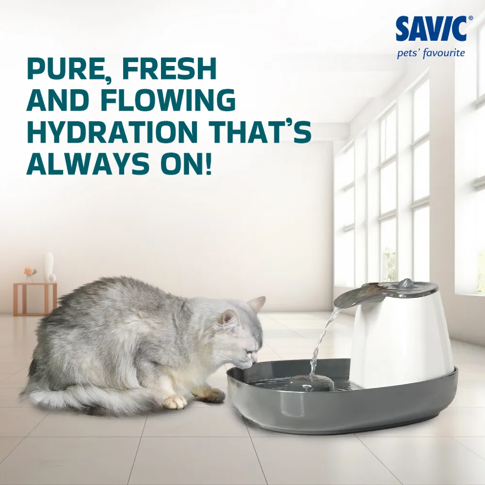Savic Cascade Anthracite Water Fountain for Cats (Grey)