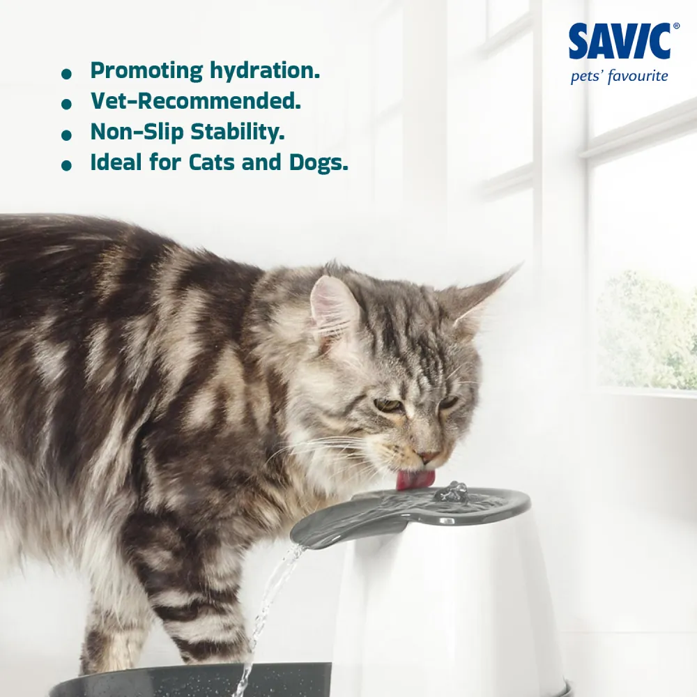 Savic Cascade Anthracite Water Fountain for Cats (Grey)