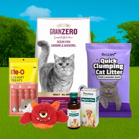 Scoopy Cat Litter, Me-O Creamy Treats, Digyton Syrup, Signature Cat Food & Basil Plush Squeaky Toy Limited Cat Hamper
