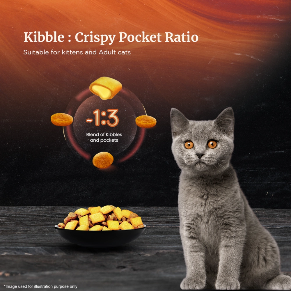 Sheba Chicken Loaf Premium Kitten (2 to 12 Months) Wet Food and Chicken All Life Stage Cat Dry Food Combo
